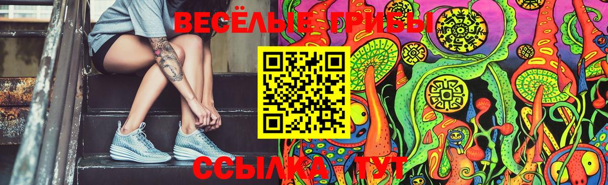 Галлюциногенные грибы GOLDEN TEACHER Тимашёвск
