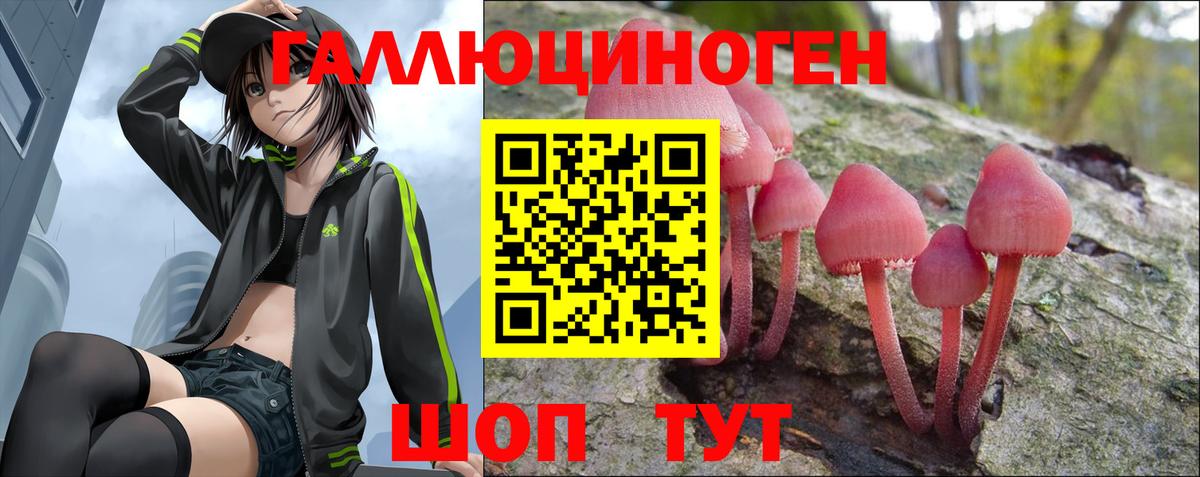Тимашёвск  Галлюциногенные грибы мицелий  Вход с VPN  Галлюциногенные грибы Psilocybe 